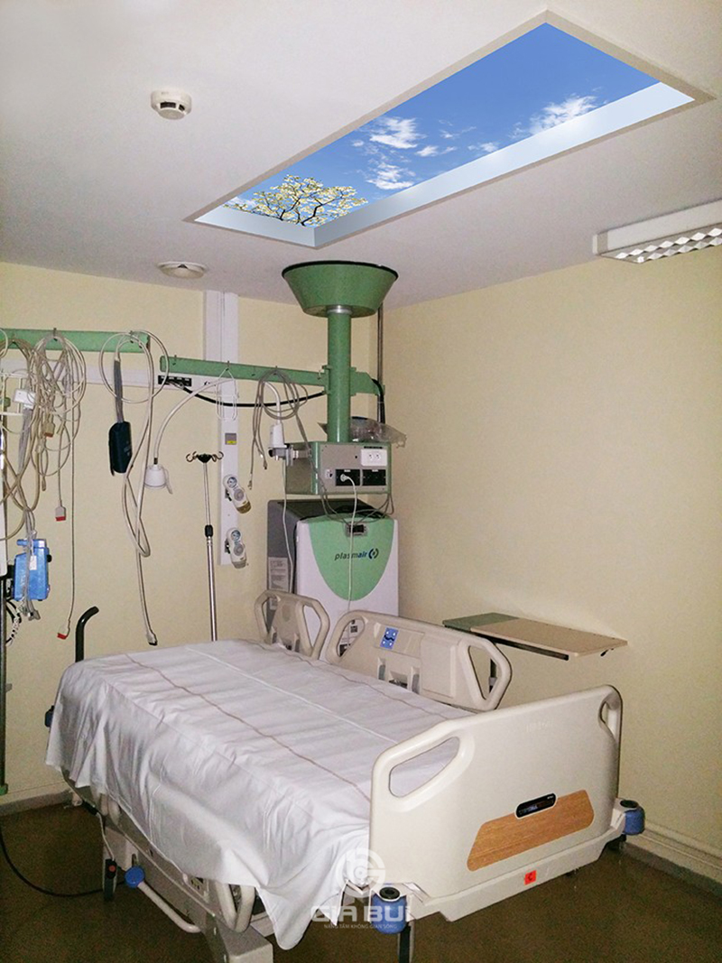 Chữa lành từ thiên nhiên với thiết kế giếng trời ở bệnh viện Nam Lyon