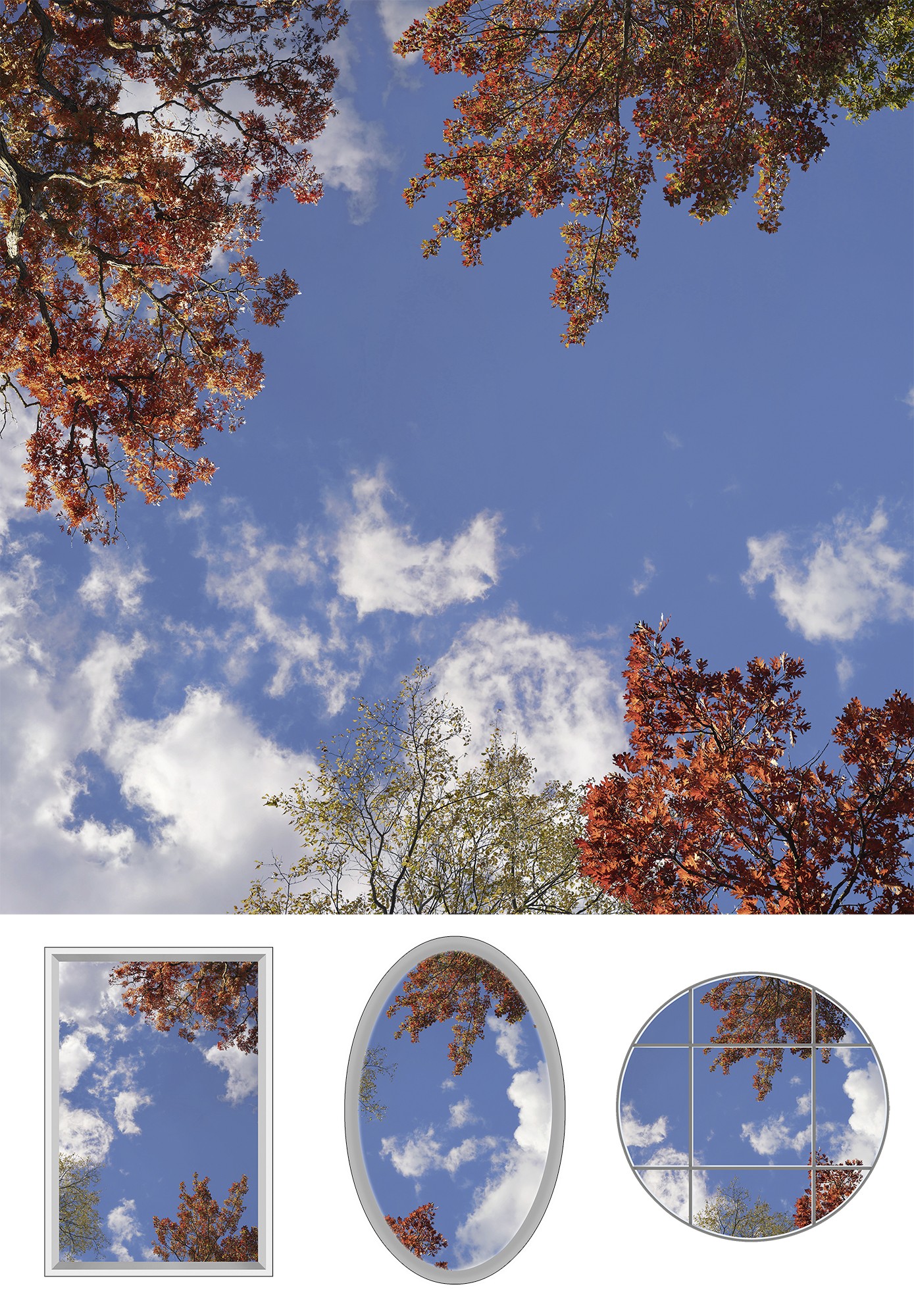 Sự kỳ diệu của tán lá - Bộ sưu tập thiết kế giếng trời mùa thu