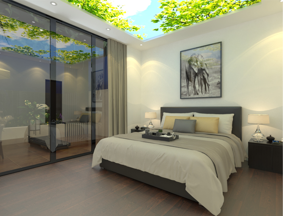 mẫu trần Ceiling Sky DPS™ cho phòng ngủ bố mẹ